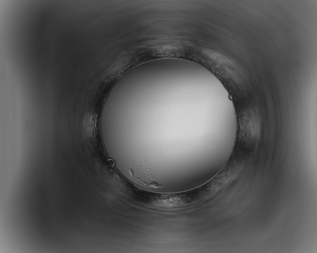 X0000093460278200710121412