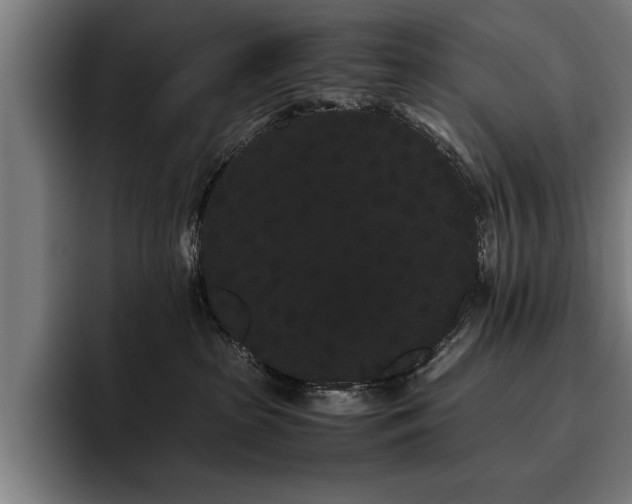 X0000093460285200710121412