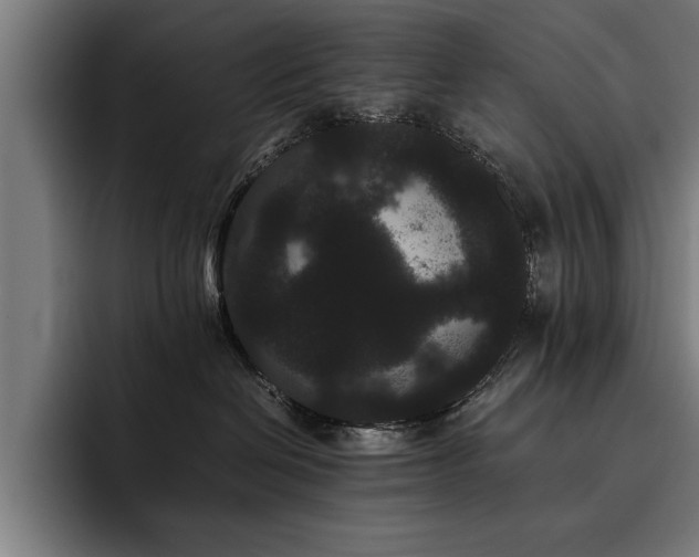 X0000093460286200710121412