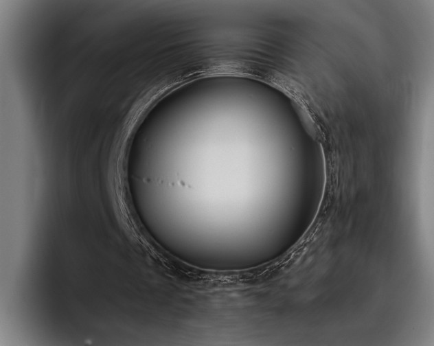 X0000093460289200710121411