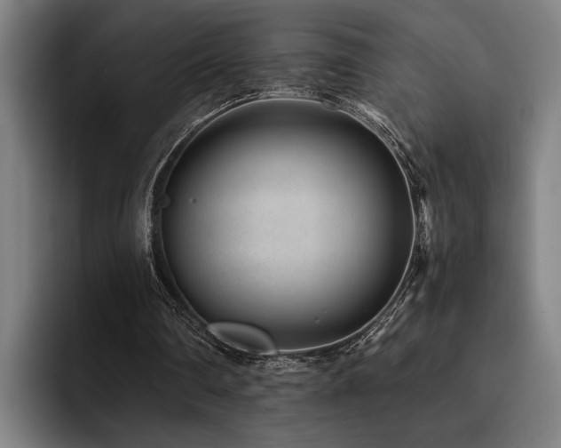 X0000093460290200710121411