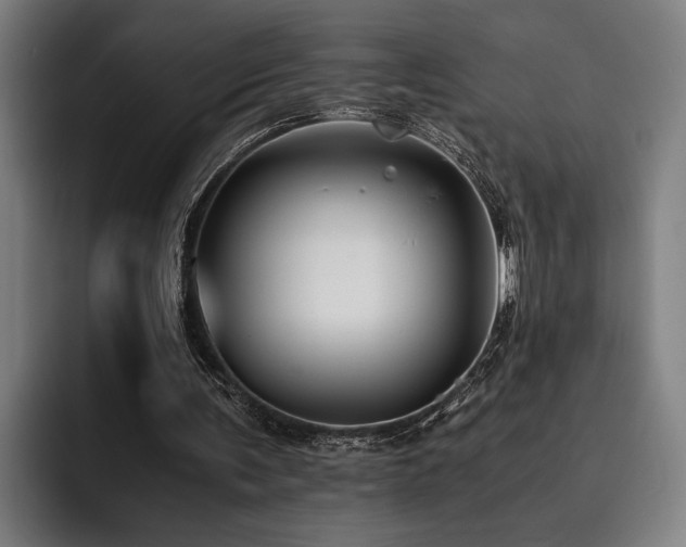 X0000093460291200710121411