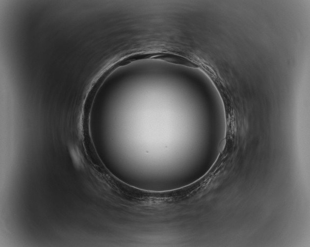 X0000093460292200710121411