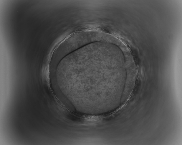 X0000093460293200710121411