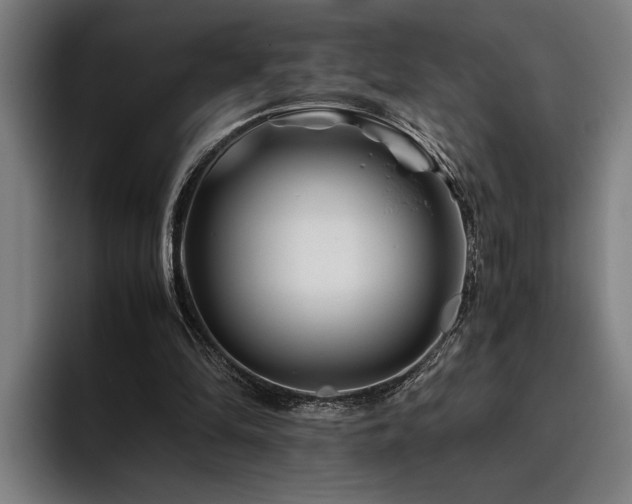 X0000093460294200710121411