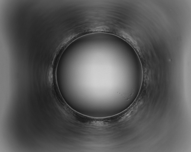 X0000093460298200710121411