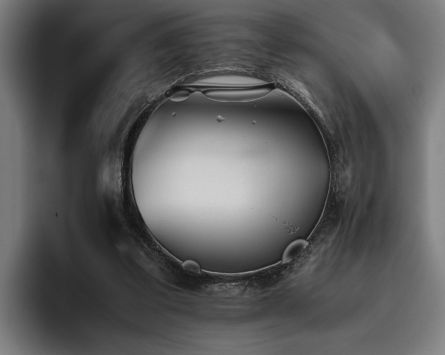 X0000093460299200710121411