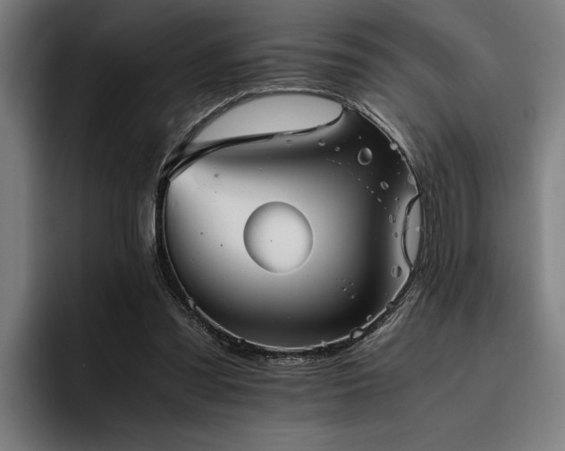 X0000093460301200710121411