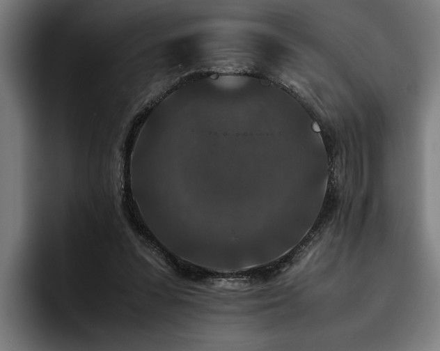 X0000093460303200710121411