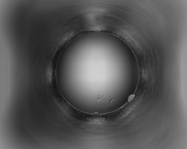 X0000093460304200710121411