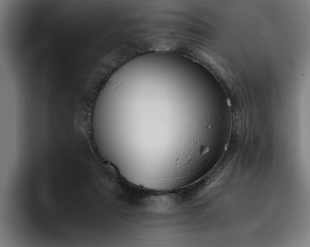 X0000093460307200710121411