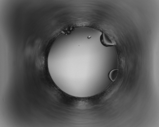 X0000093460308200710121411