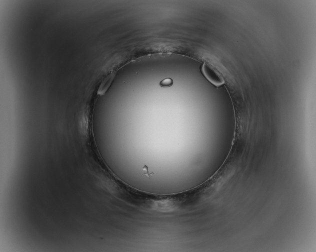 X0000093460309200710121411