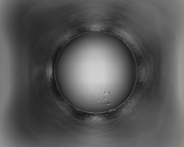 X0000093460310200710121411