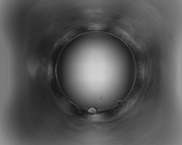 X0000093460312200710121411