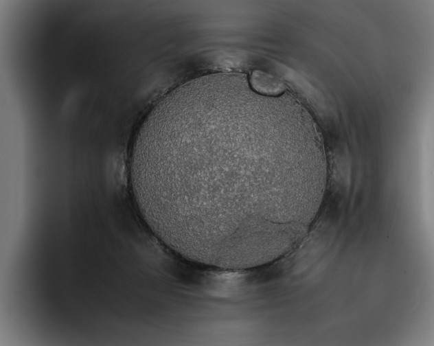 X0000093460313200710121411