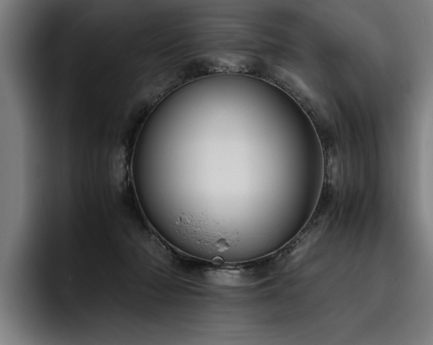 X0000093460318200710121411