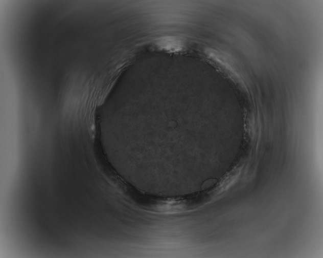 X0000093460319200710121411