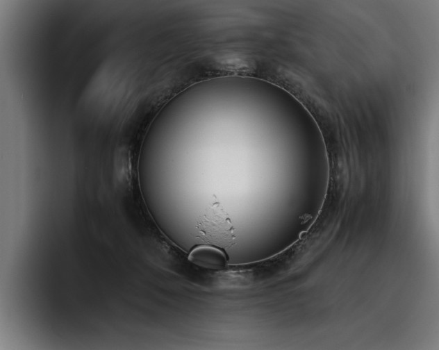 X0000093460320200710121411