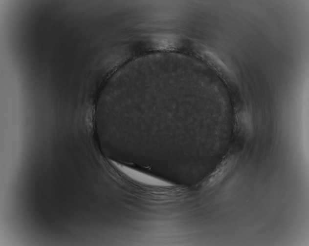 X0000093460325200710121411