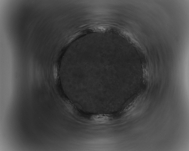 X0000093460331200710121411