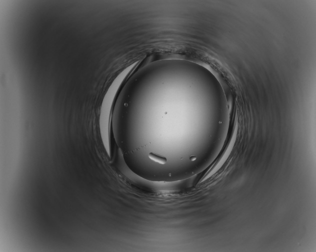 X0000093460333200710121411