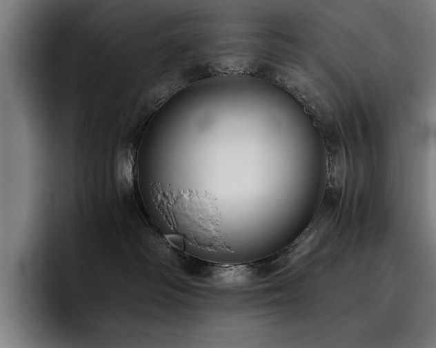 X0000093460334200710121411