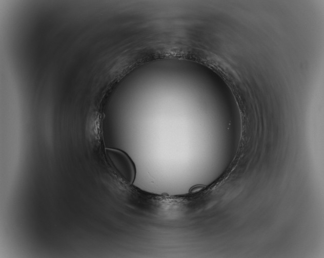 X0000093460336200710121411