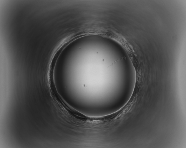 X0000093460340200710121410