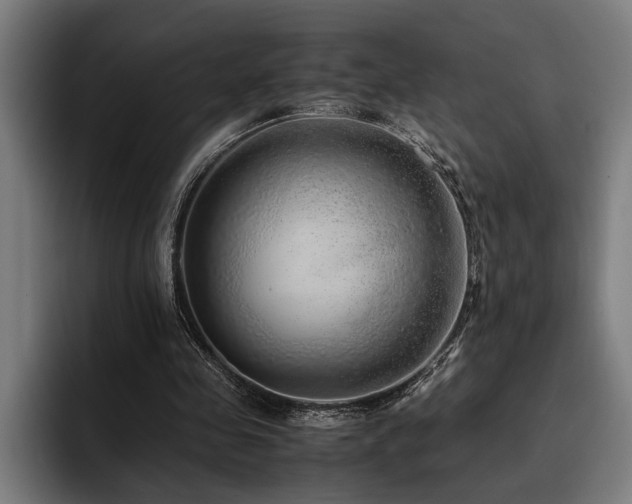 X0000093460341200710121410