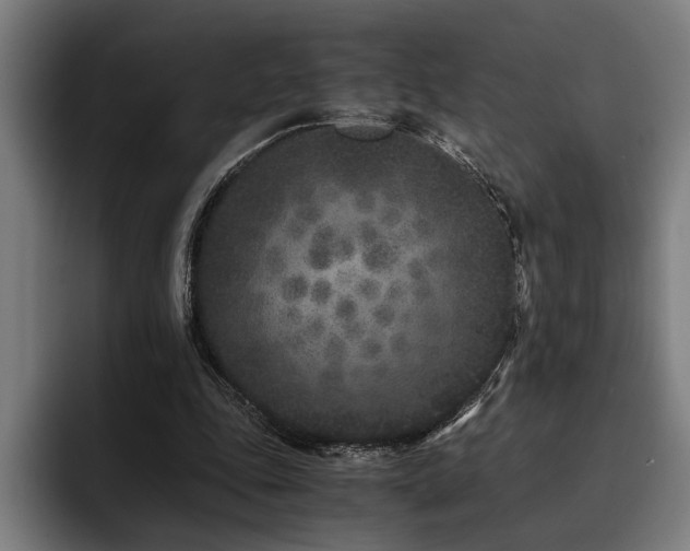 X0000093460343200710121410