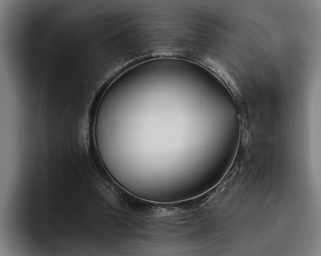 X0000093460346200710121410