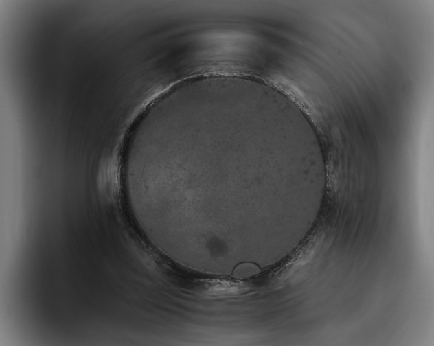 X0000093460347200710121410