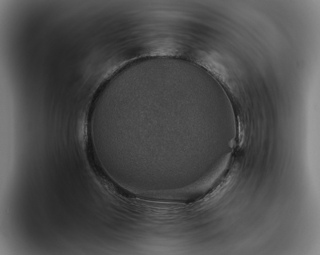 X0000093460348200710121410