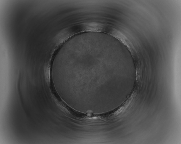 X0000093460349200710121410