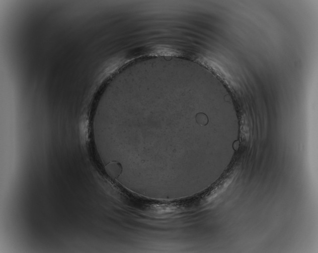 X0000093460351200710121410