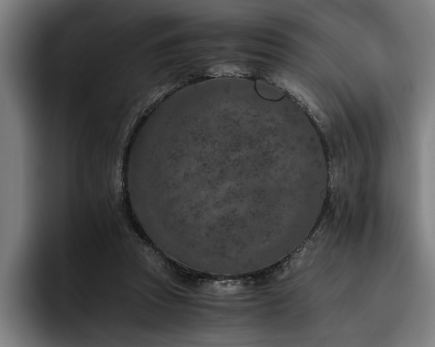 X0000093460353200710121410