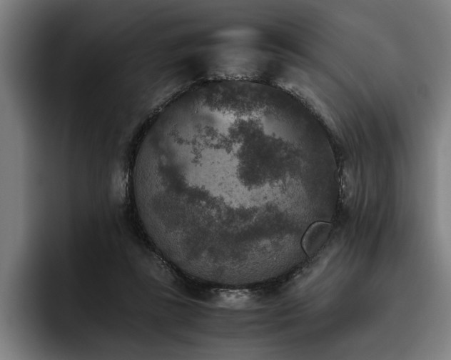 X0000093460355200710121410