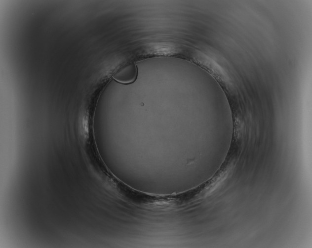 X0000093460358200710121411