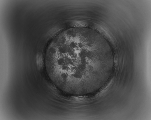 X0000093460359200710121411