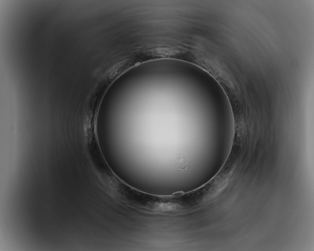 X0000093460360200710121411