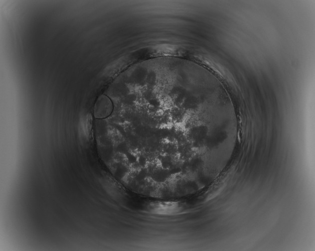 X0000093460361200710121411