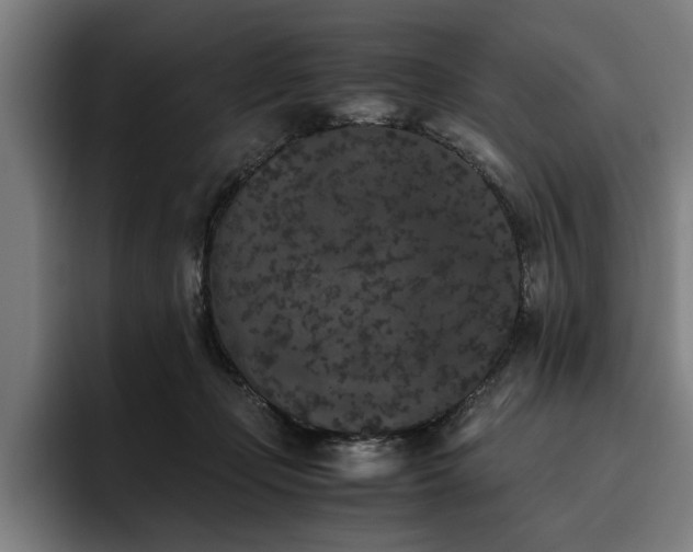 X0000093460365200710121411