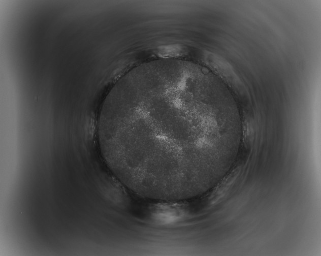 X0000093460367200710121411