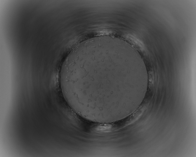 X0000093460369200710121411