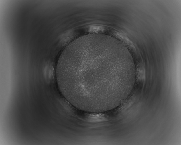 X0000093460375200710121411