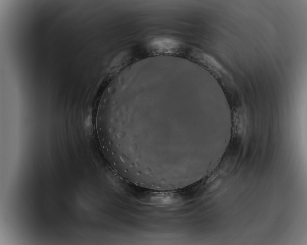 X0000093460377200710121411