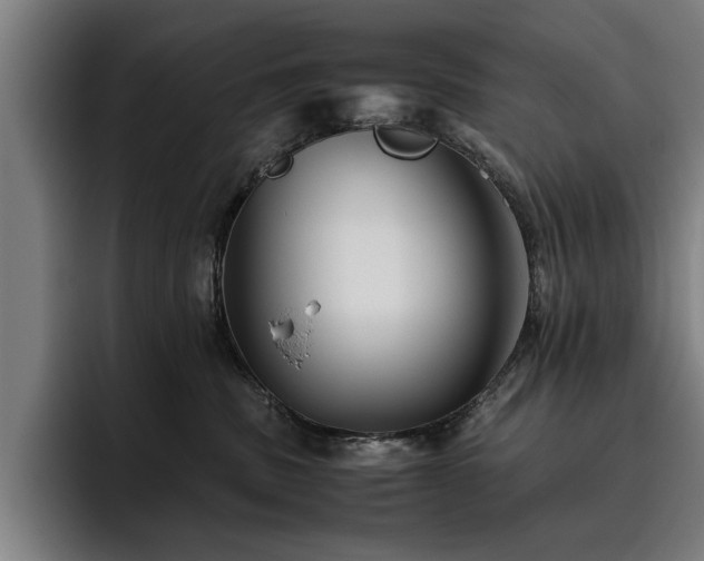 X0000093460379200710121411