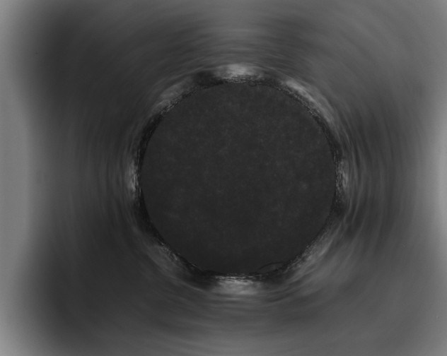 X0000093460380200710121411