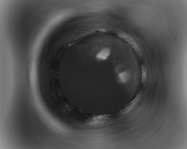 X0000093460382200710121411